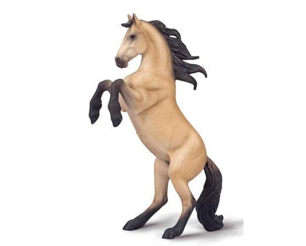 CLLCTA Warlander Mare Rearing - Buckskin