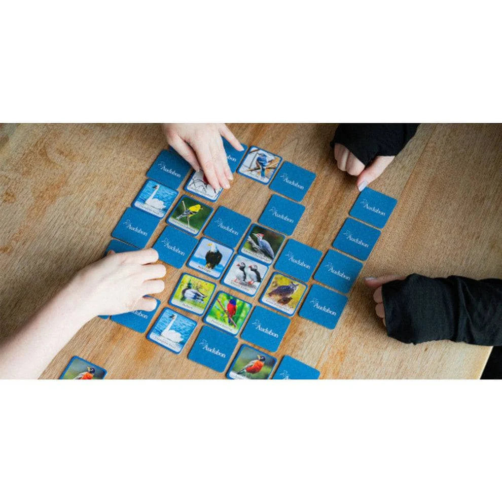 Audubon Bird Matching Game