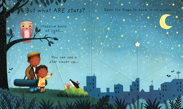 What Are Stars? - Lift The Flap Very First Questions and Answers    