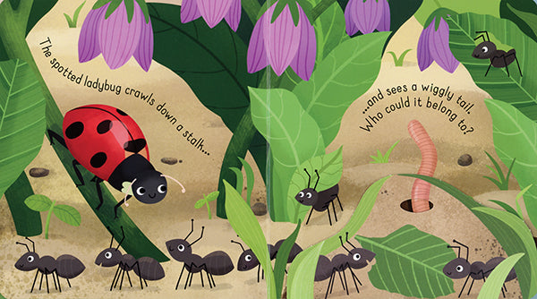 Little Lift and Look Bugs    