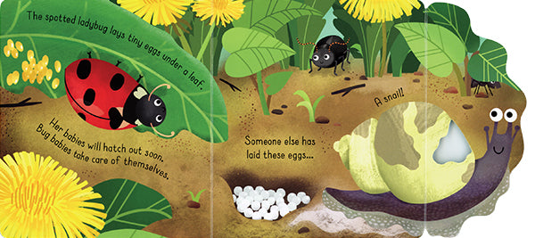 Little Lift and Look Bugs    