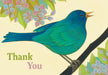 Siri Schillios The Bluebird of Happiness - Boxed Thank You Cards    