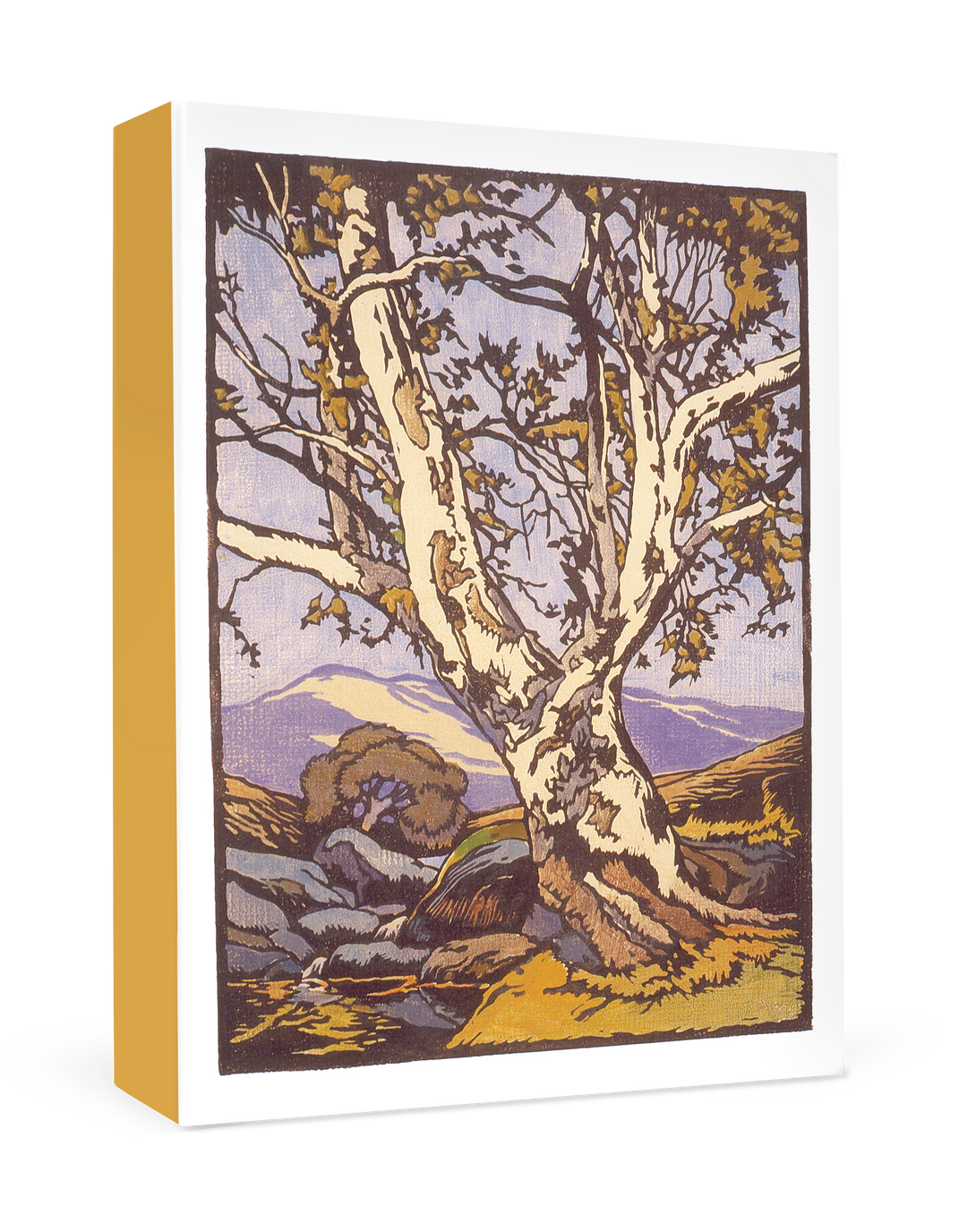 William S. Rice Western Sycamore - Boxed Thank You Cards    