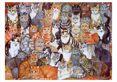 In The Company of Cats - Art by Ditz Boxed Assorted Note Cards    