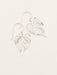 Holly Yashi Tropical Lace Leaf Earrings - Silver    
