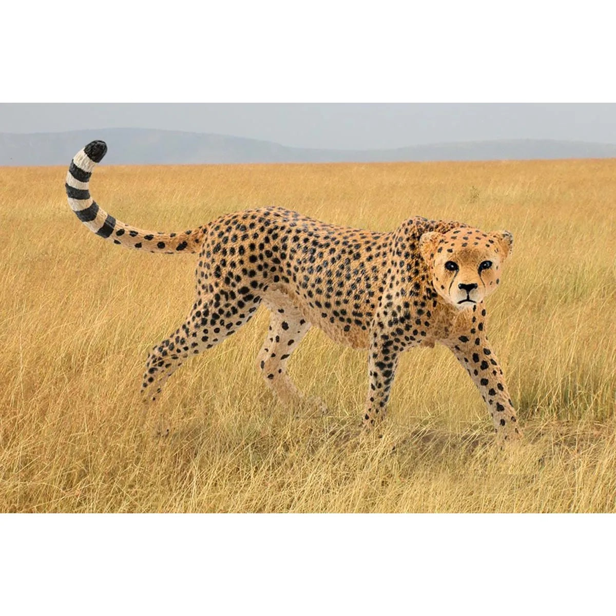 Schleich - Female Cheetah    
