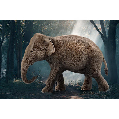 Schleich Asian Elephant - Female    