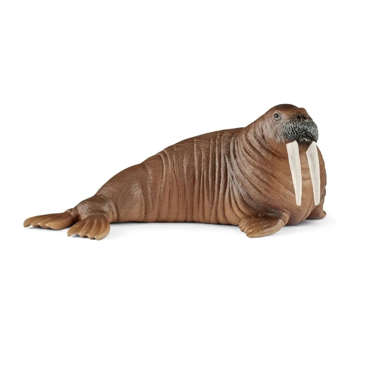 Schleich - Walrus    