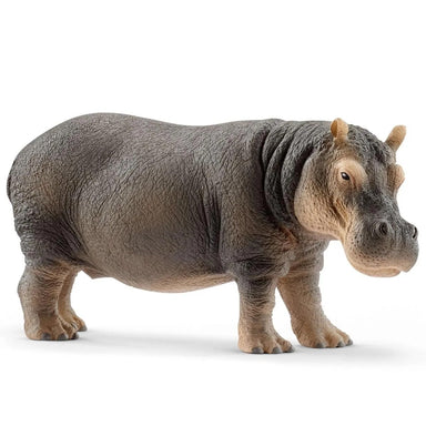 Schleich - Hippopotamus    