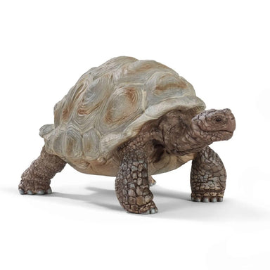 Schleich - Giant Tortoise    