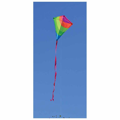Neon - 25 Inch Diamond Kite    
