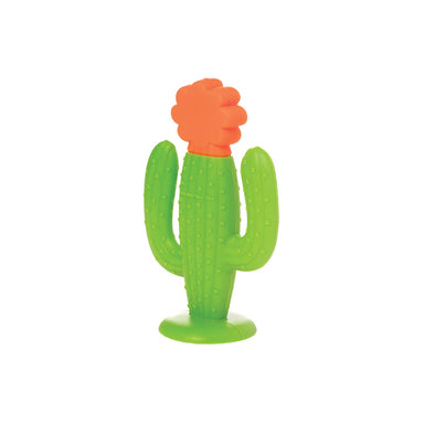 Silicone Teether - Cactus    