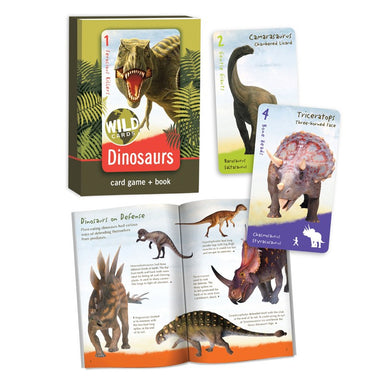 Dinosaur Card Games and Book    