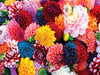 Beautiful Blooms 550 Piece Puzzle    