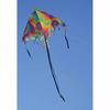 Tie-Dye - 48 Inch Fringe Delta Kite    