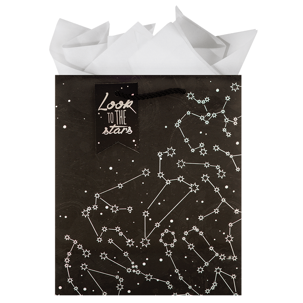 Zodiac - Medium Gift Bag    