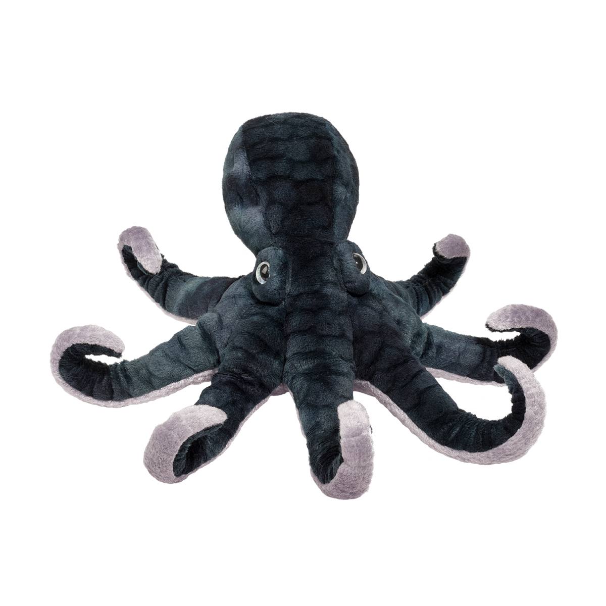 Winky Octopus    