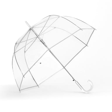 Silver and Clear Bubble Umbrella    