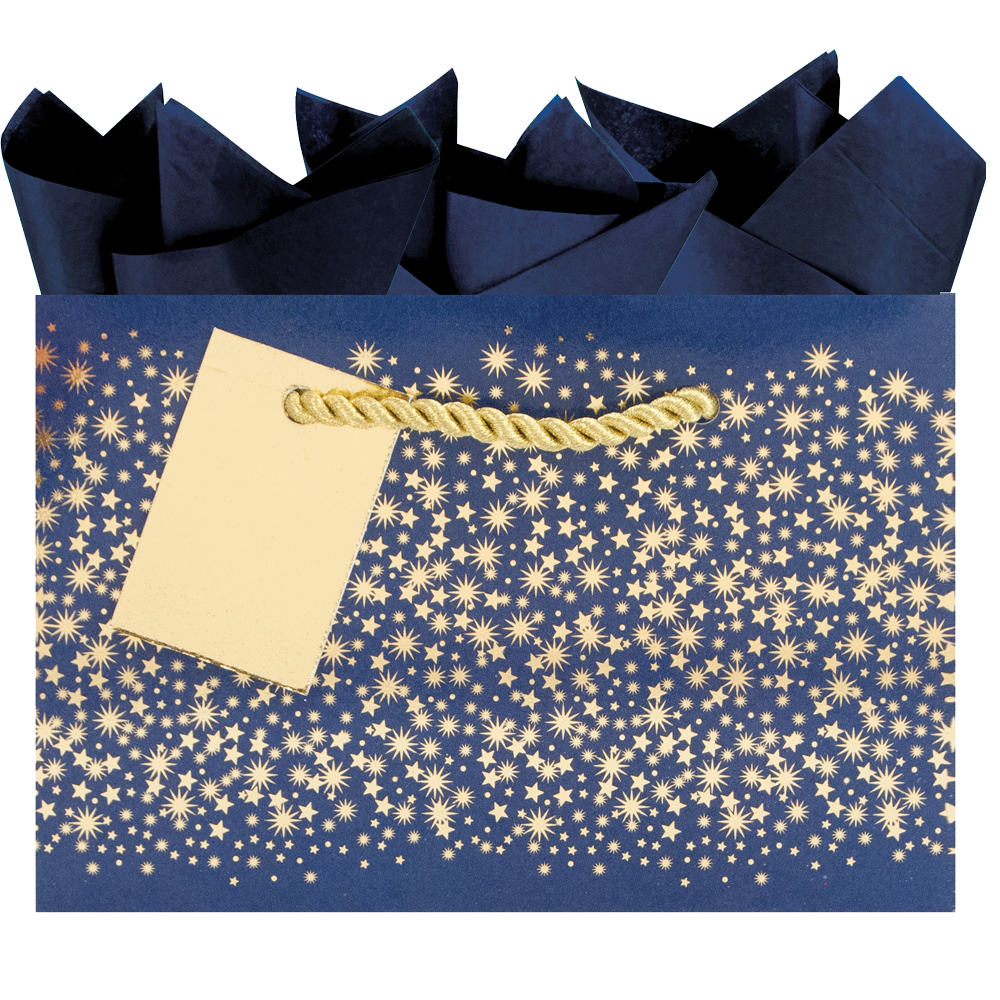 Midnight Sky - Petite Gift Bag    