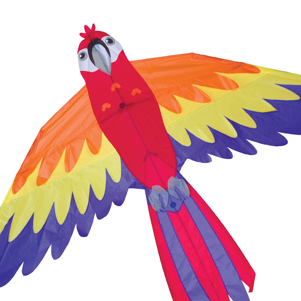 Macaw Bird Kite    