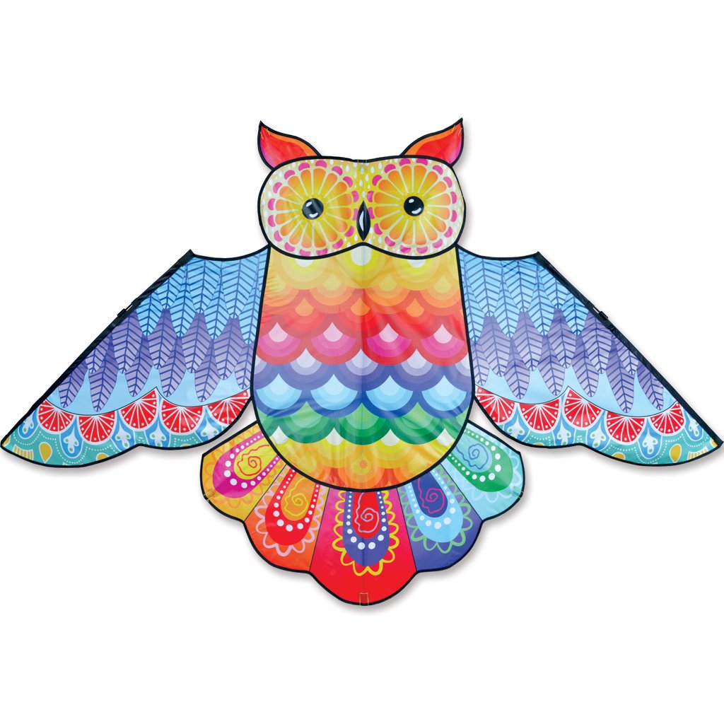 Rainbow Owl - 70 Inch Kite    