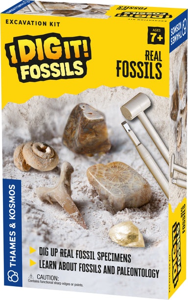 I Dig It! Fossils - Dig Up Real Fossil Specimens    