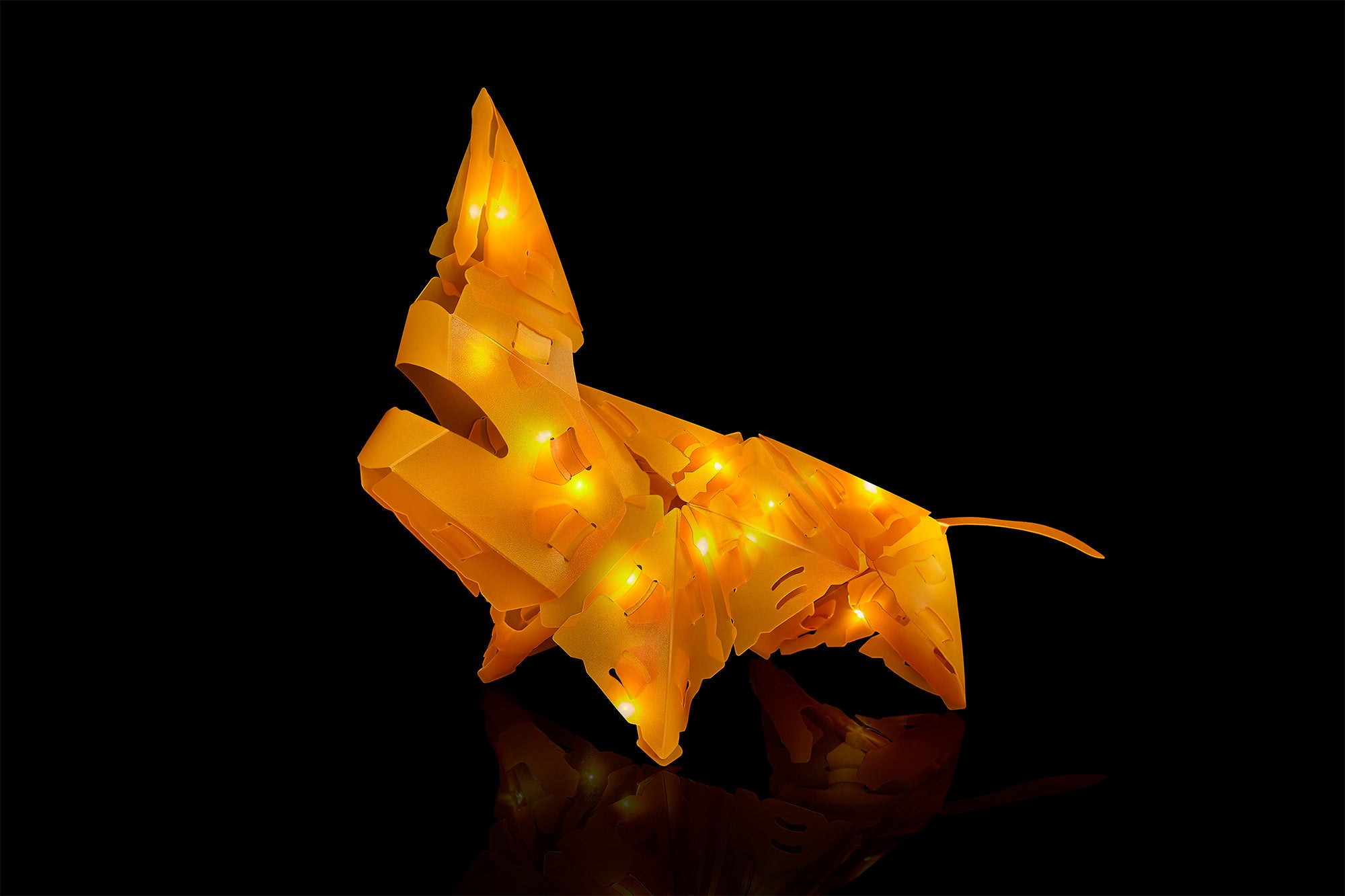 Creatto Lion - LED Light Up Crafting Kit    