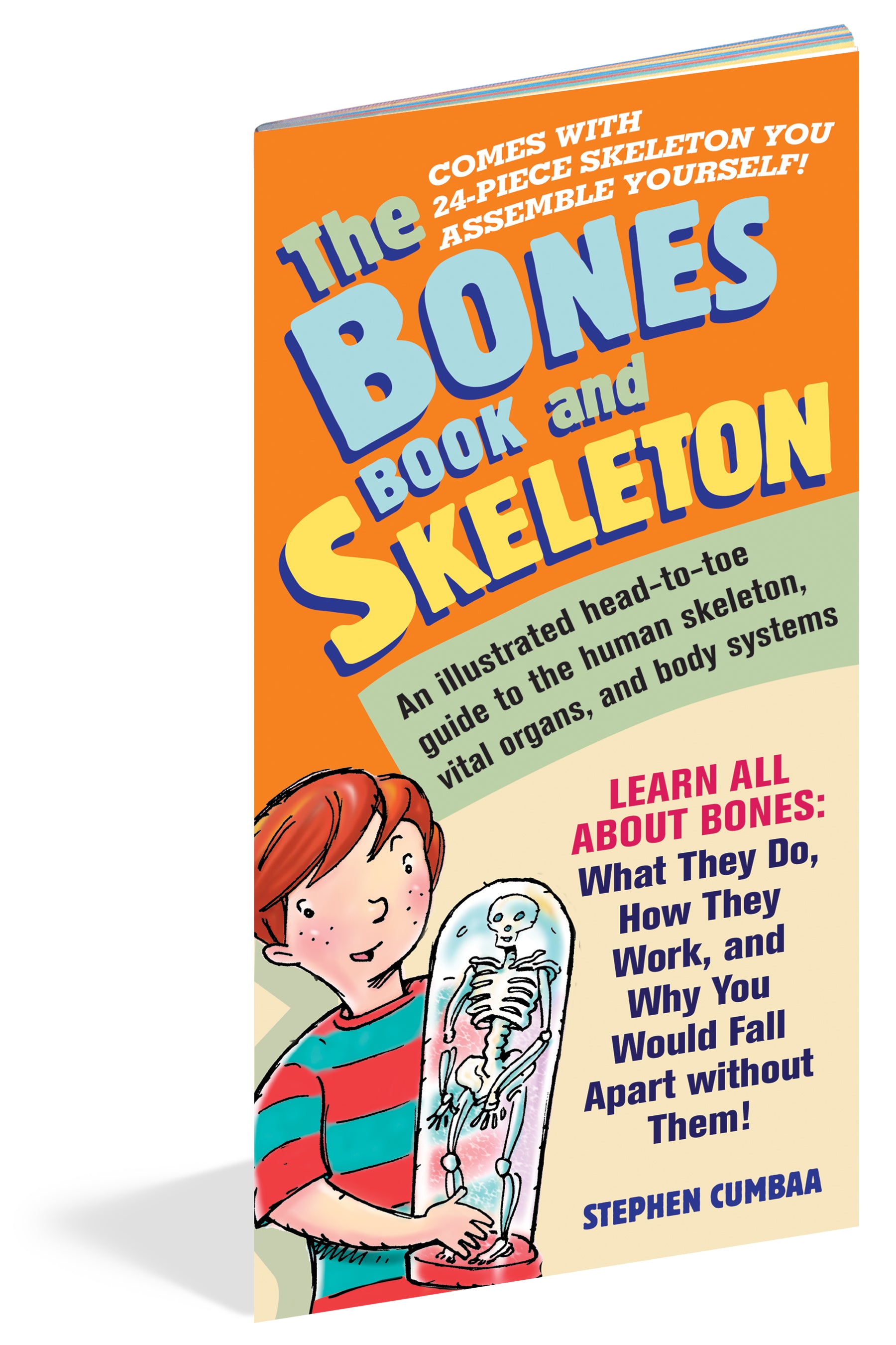The Bones Book and Skeleton    