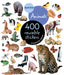 Eye Like Sticker Book - Animals    
