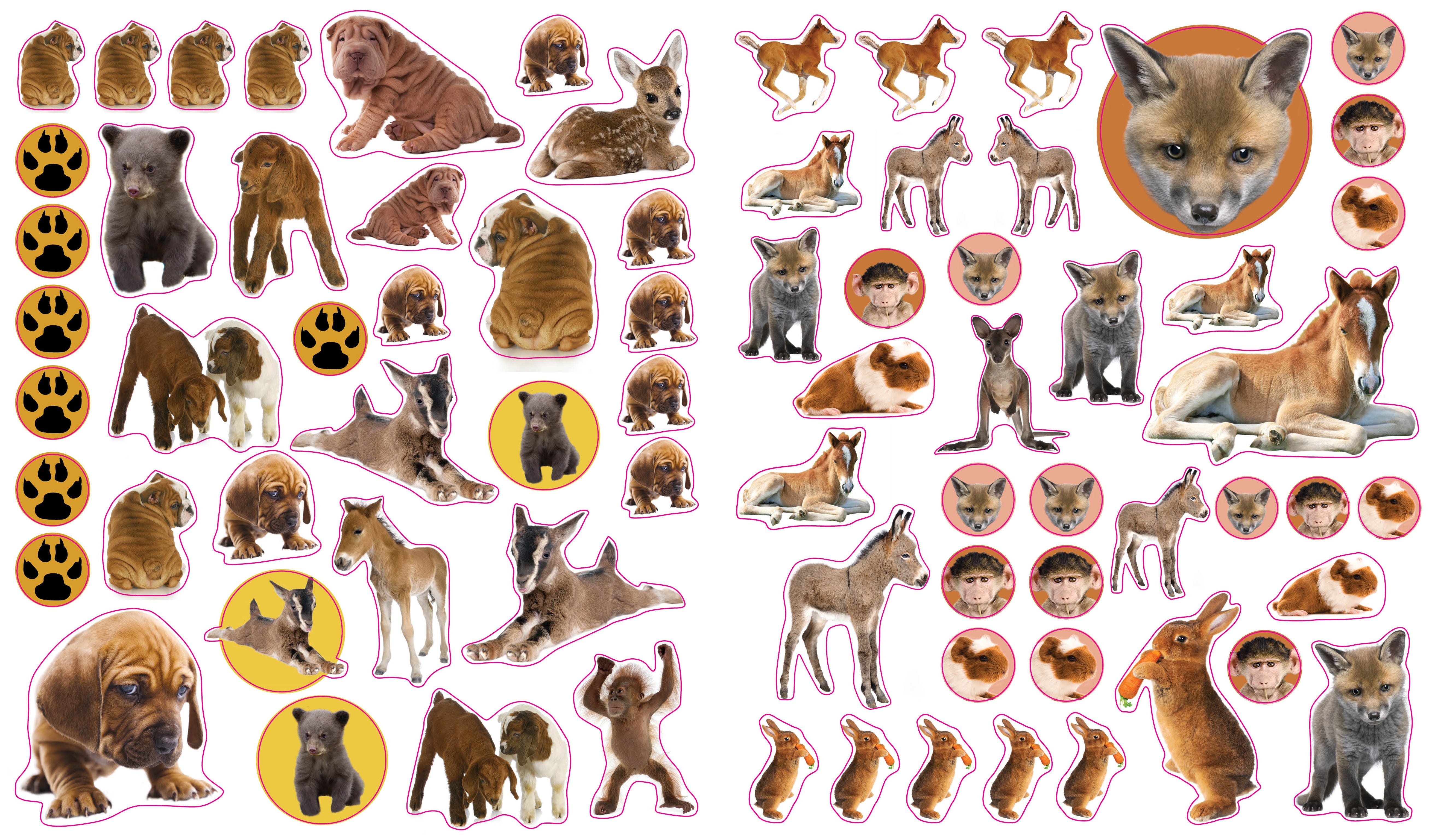 Eye Like Sticker Book - Baby Animals    