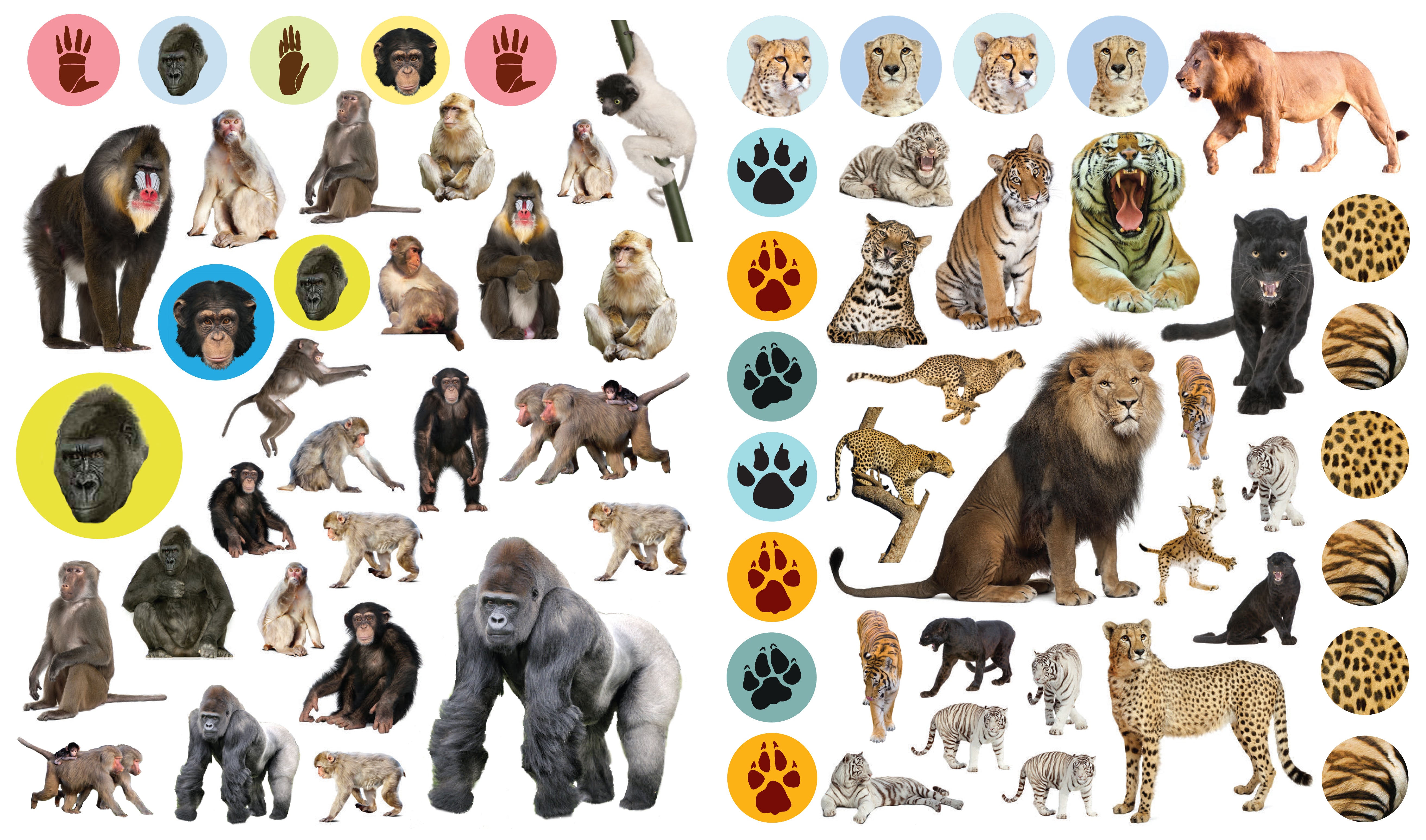 Eye Like Sticker Book - Wild Animals    