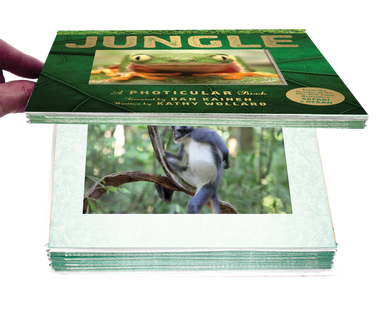 Jungle - A Photicular Book    