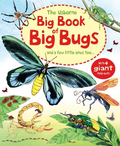 Big Book of Big Bugs - And A Few Little Ones Too    