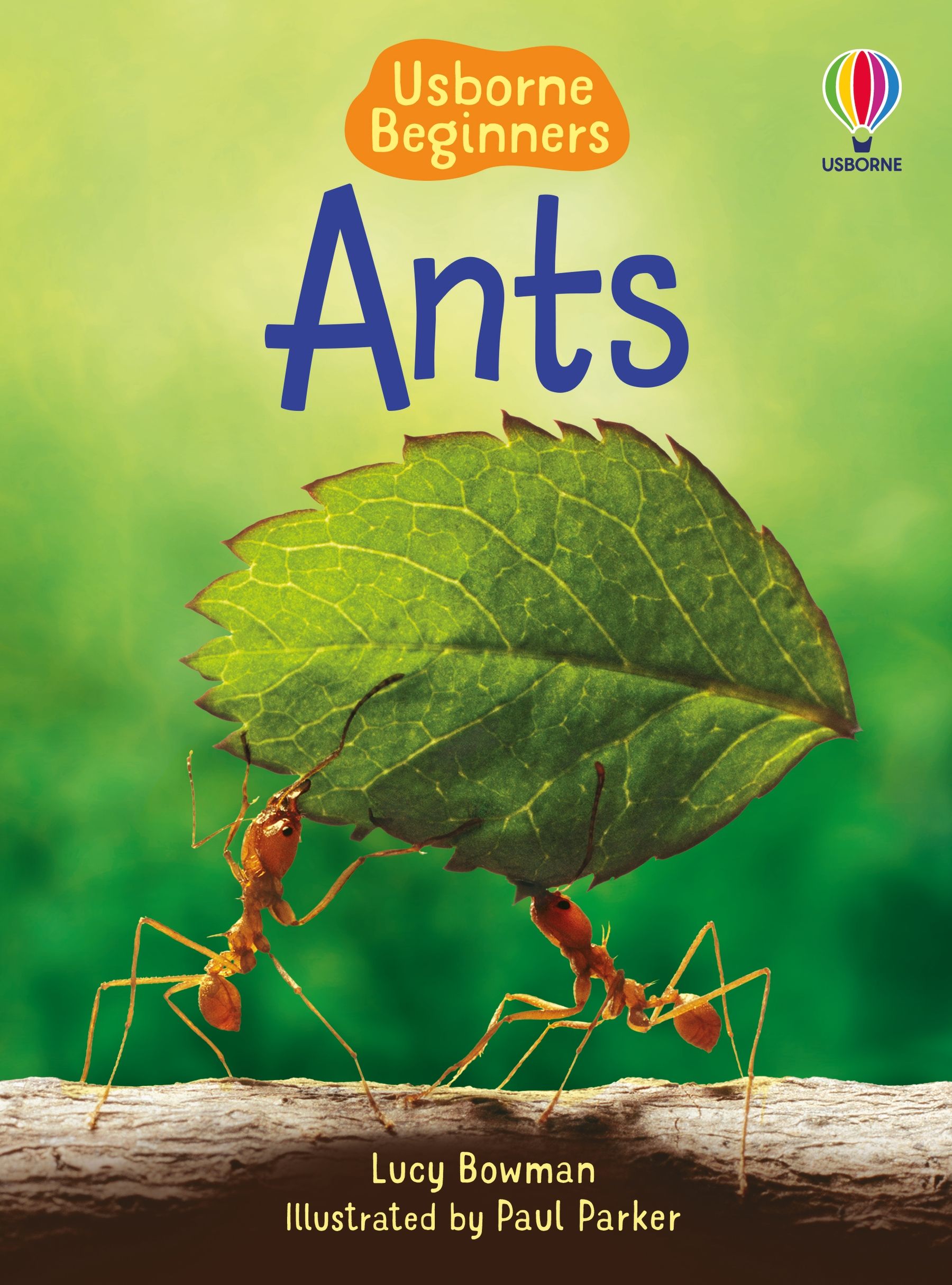 Ants    