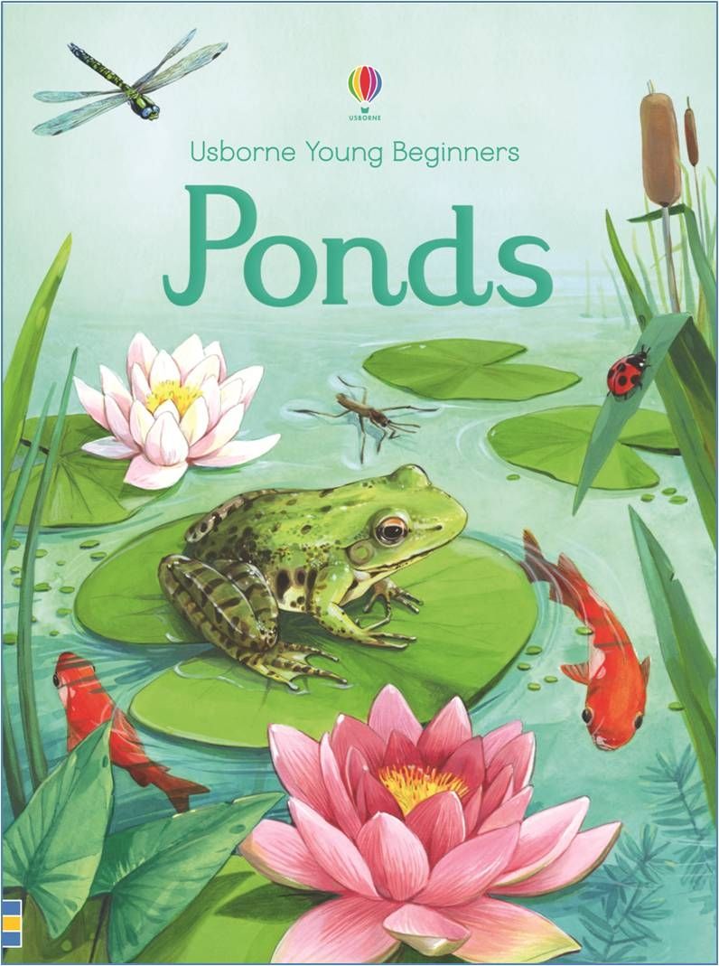 Ponds Usborne Young Beginners    
