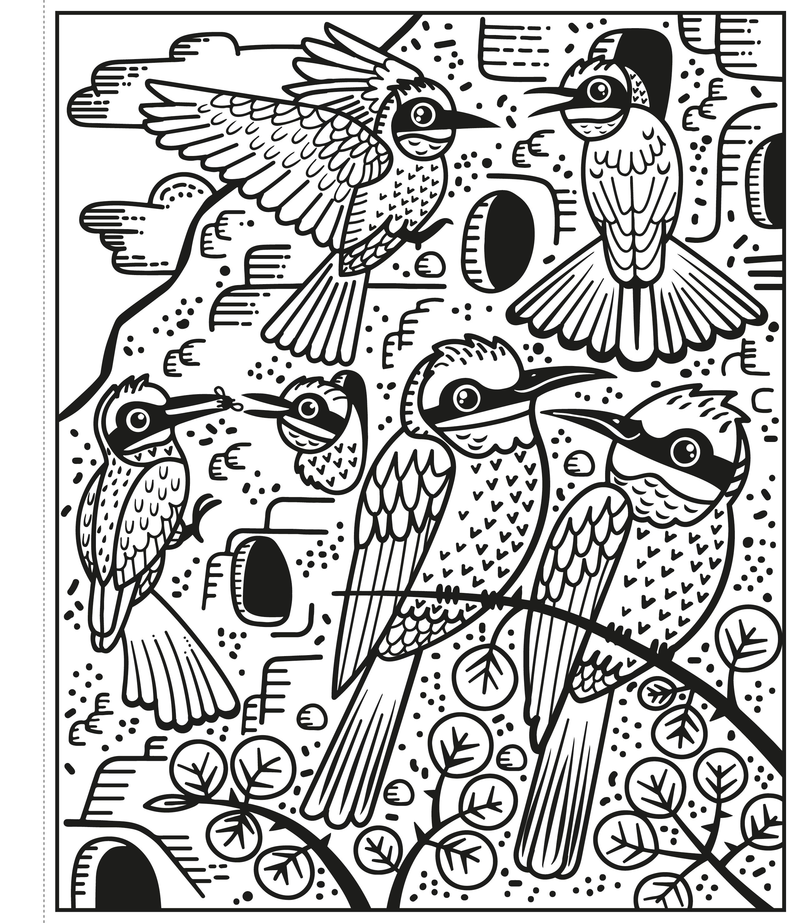 Birds Magic Painting Book    