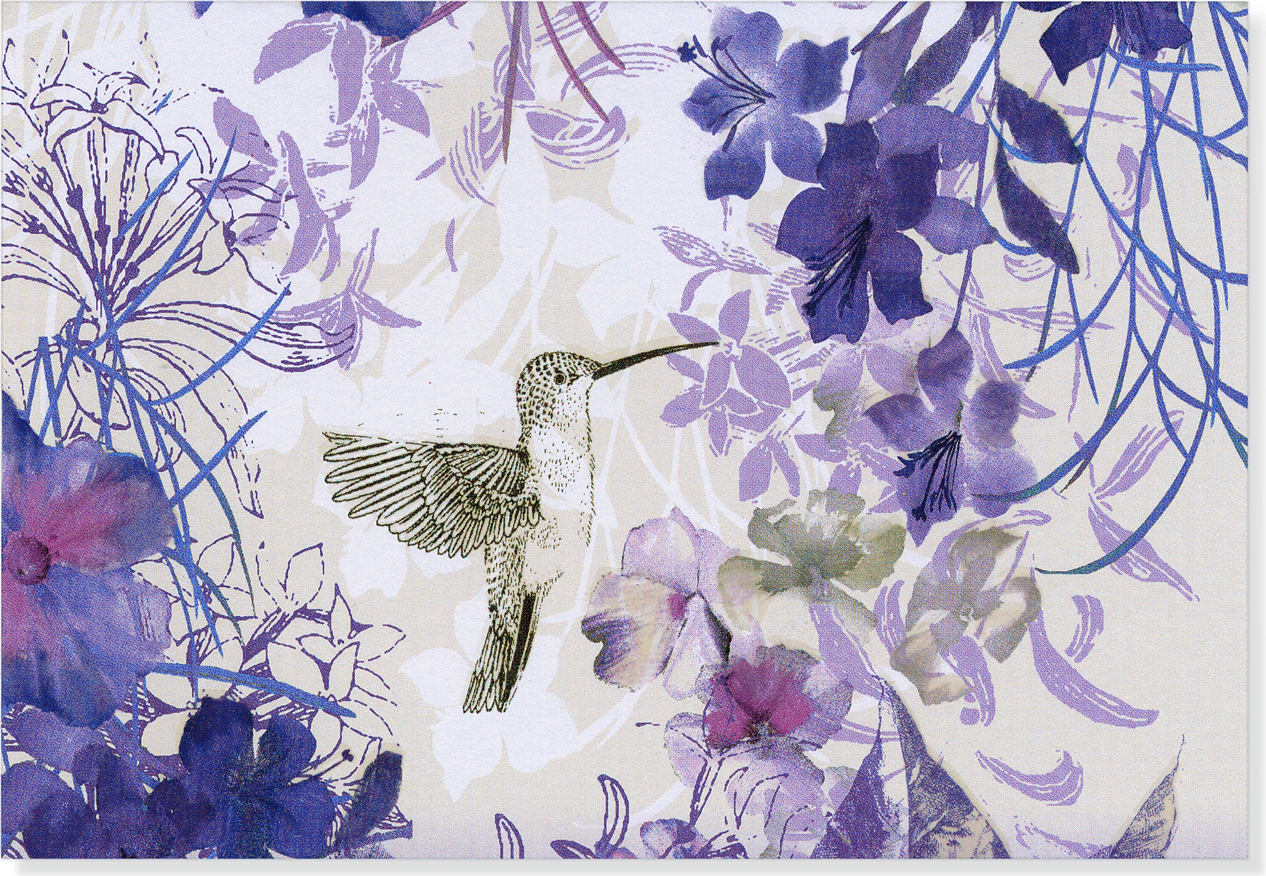 Boxed Note Cards - Hummingbird    