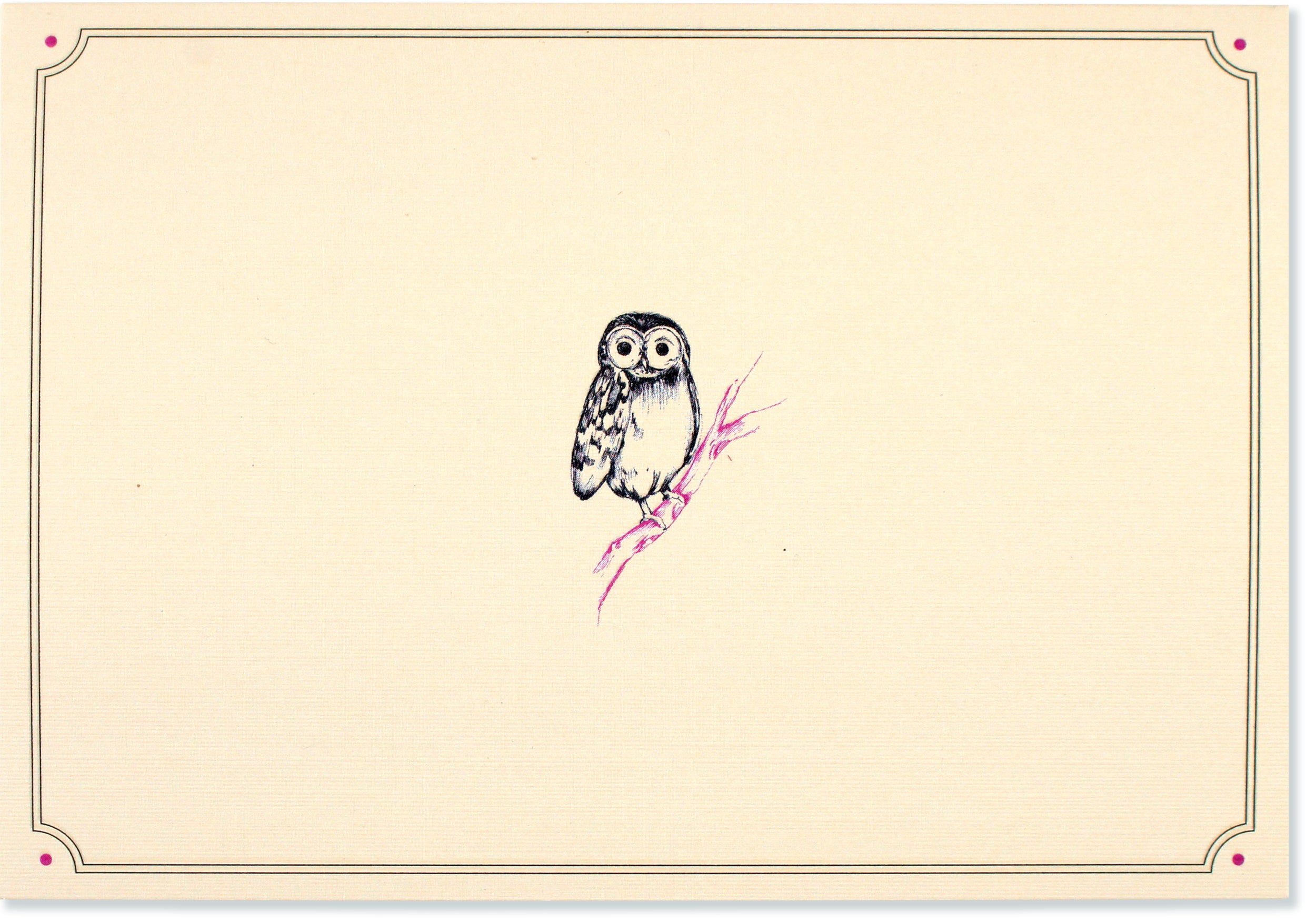 Boxed Note Cards - Owl Portrait    