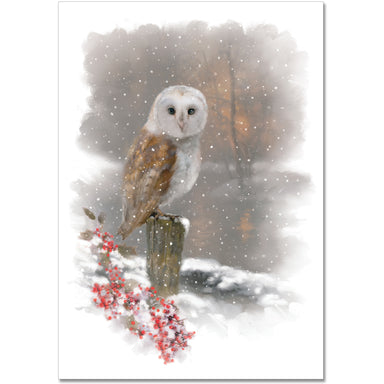 Boxed Christmas Cards - Winter Owl    