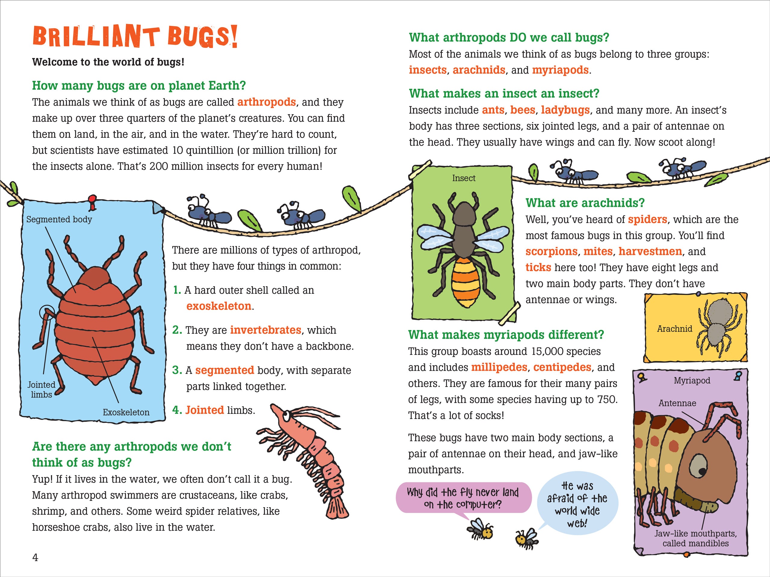 Questioning Insects 100 Questions About Bugs — Bird in Hand