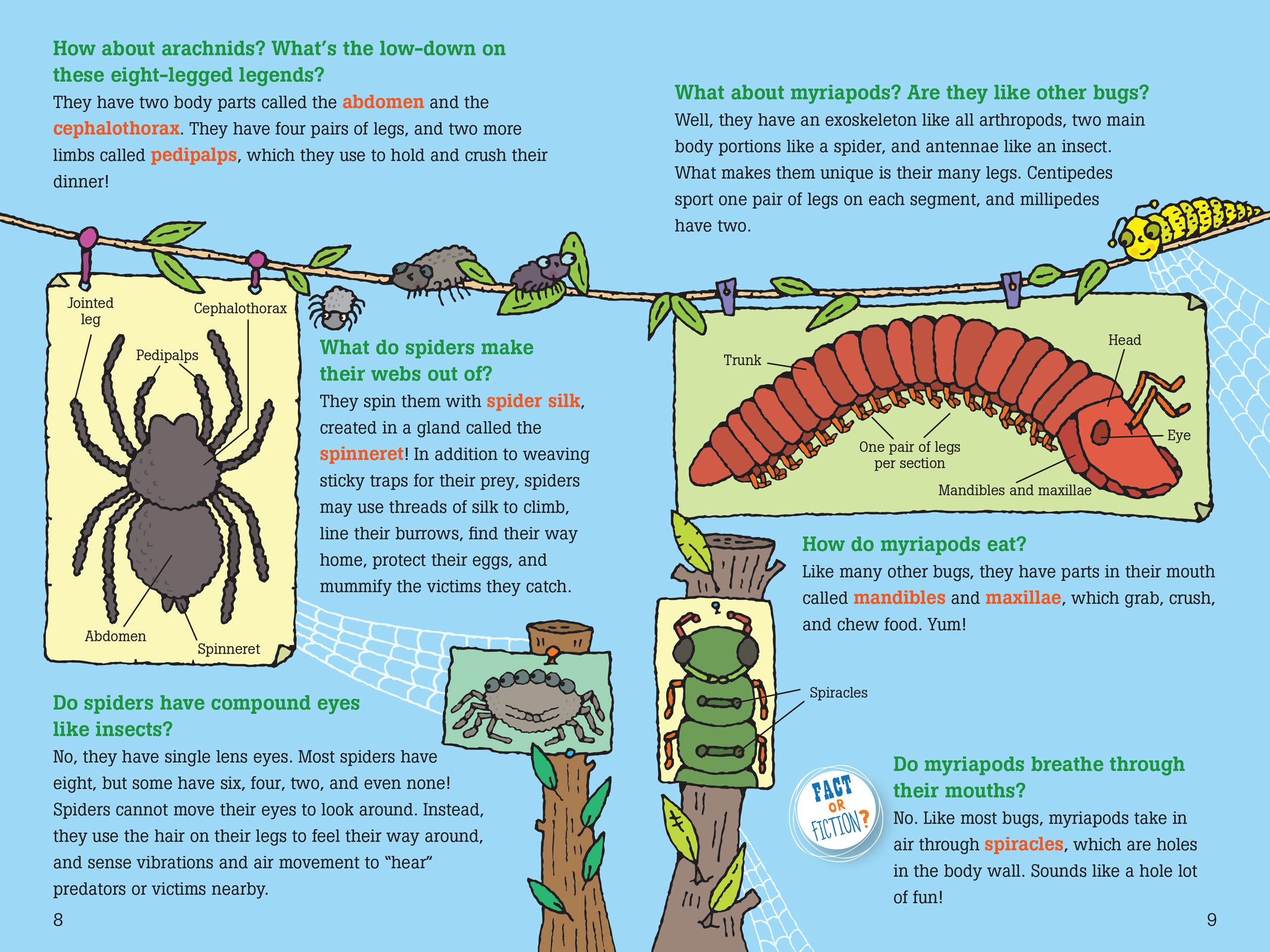 Insects Questions 100 Questions About Bugs — Bird in Hand