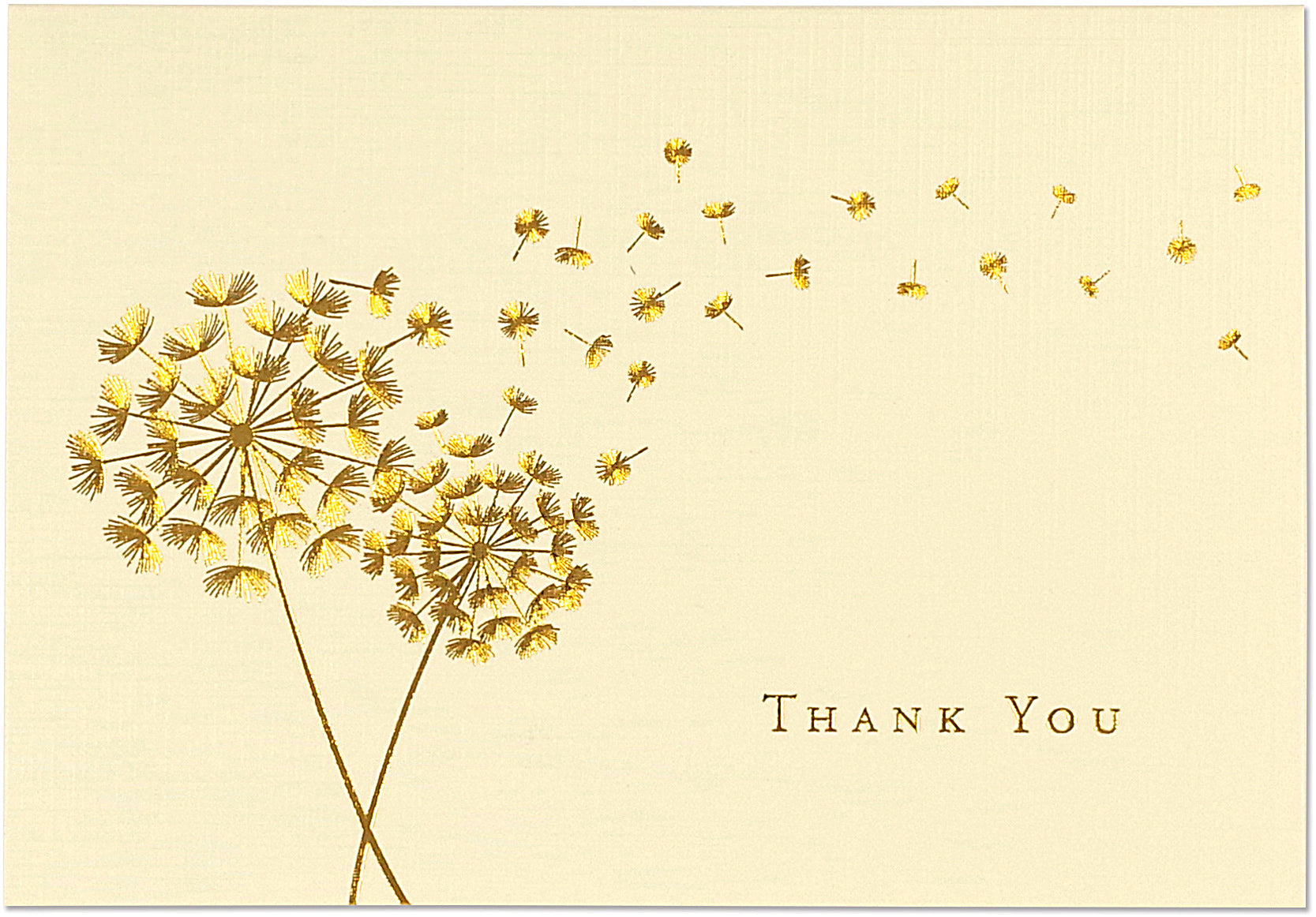 Boxed Thank You Cards - Dandelion Wishes    