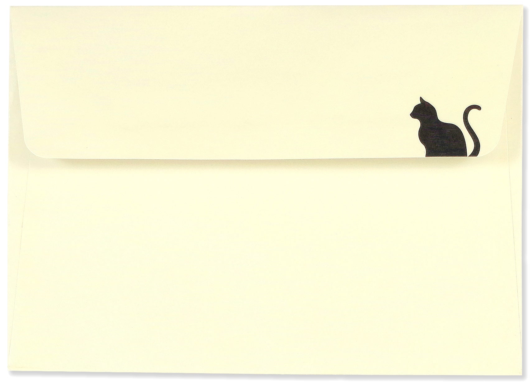 Boxed Note Cards - Black Cat    