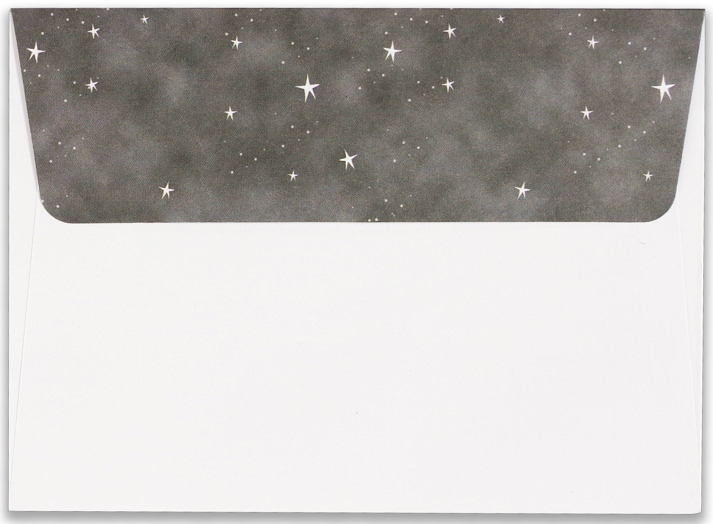 Boxed Christmas Cards - Starry Night Owl    