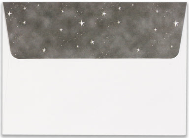 Boxed Christmas Cards - Starry Night Owl    
