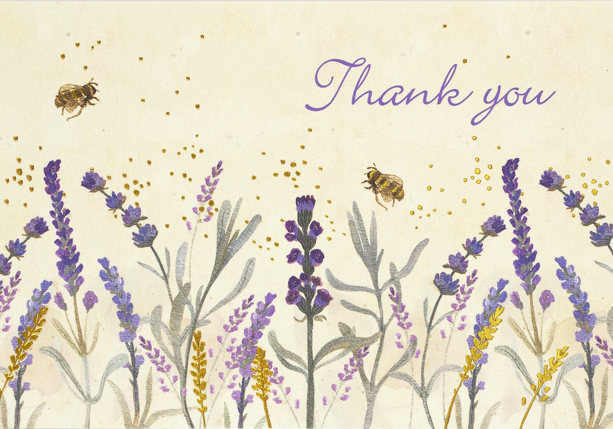 Boxed Thank You Cards - Lavender And Honey    