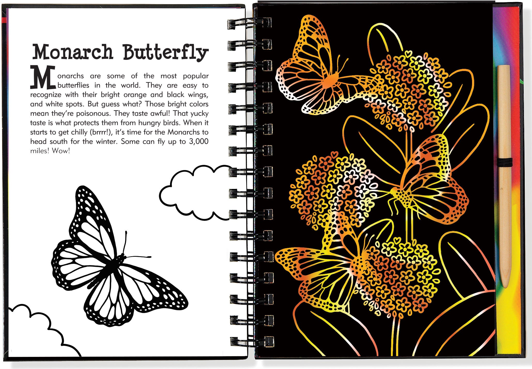 Scratch And Sketch - Butterflies And Friends    