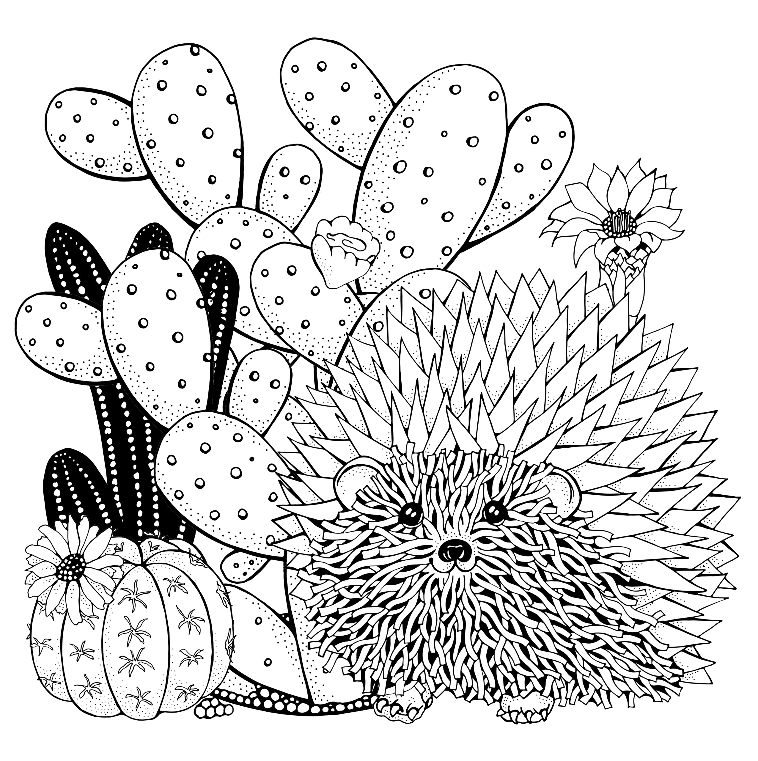 coloring pages succulents Succulents Adult Coloring Book