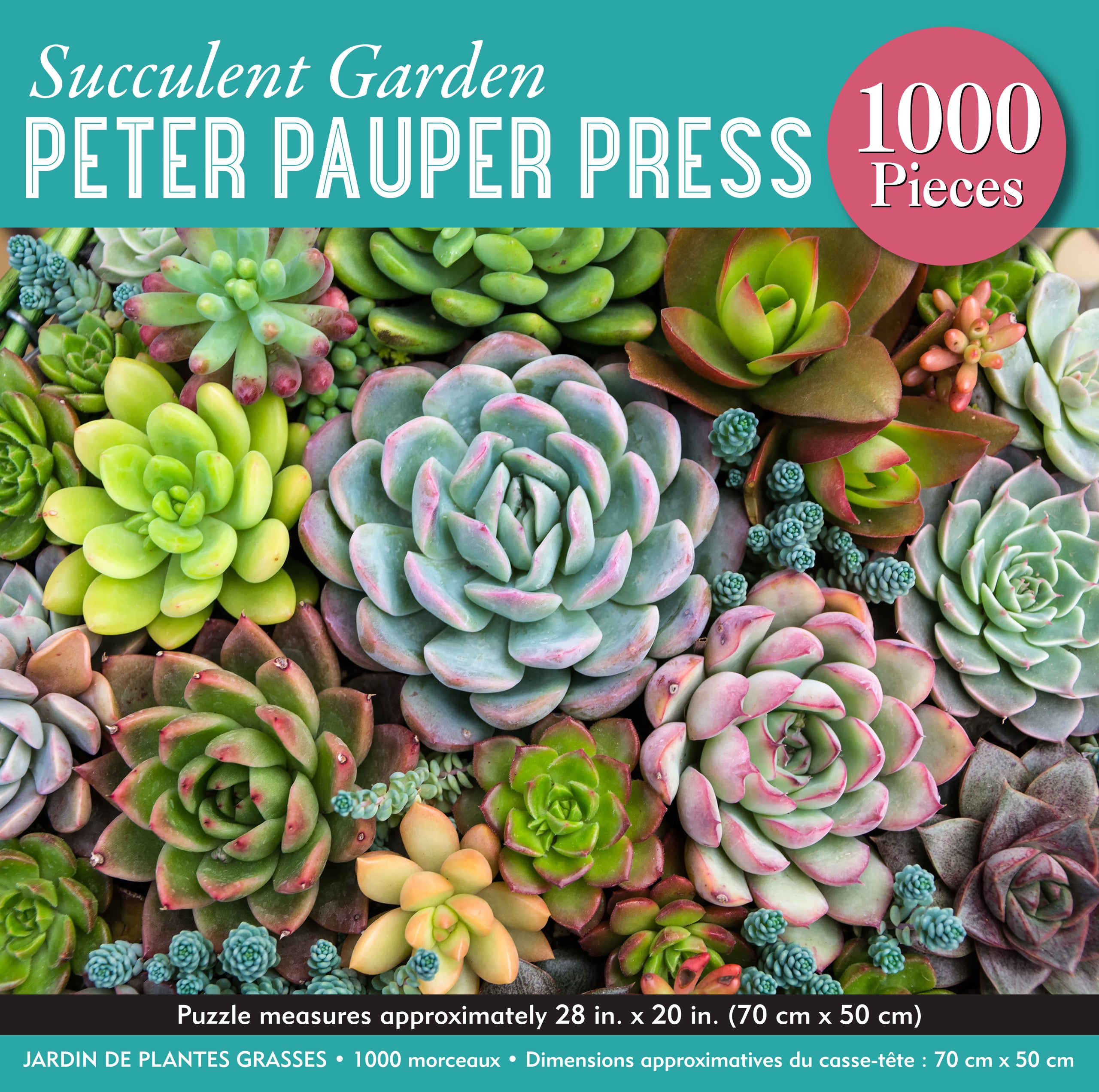 Succulent Garden 1000 Piece Puzzle    