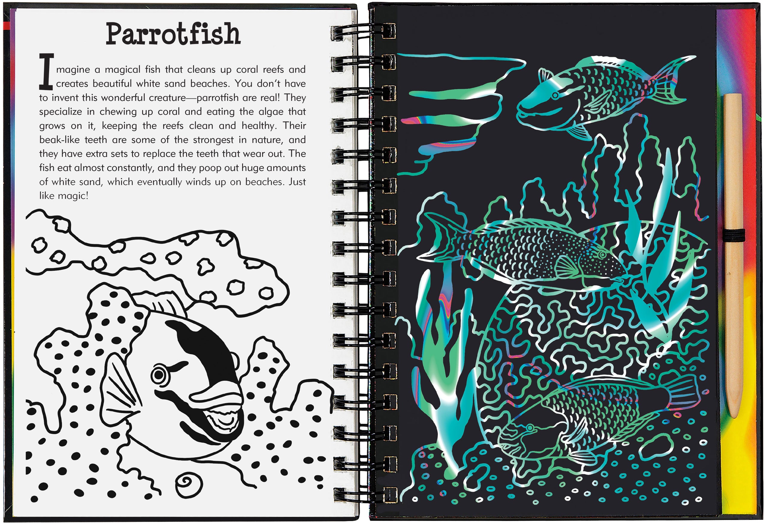 Scratch And Sketch - Coral Reefs    
